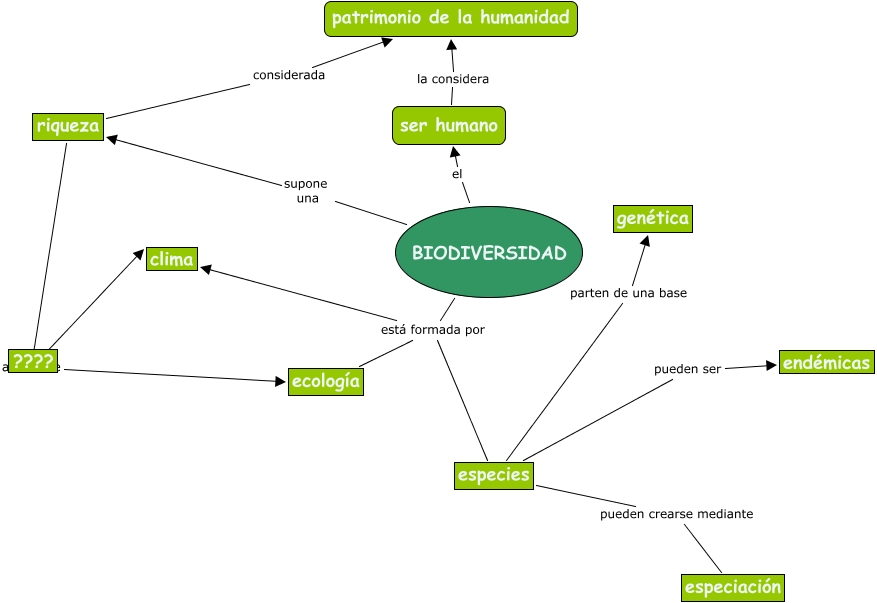 Download Conservacion Mapa Conceptual De Biodiversidad